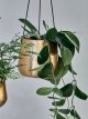 Hanging Brass Planter